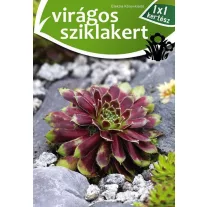 Virágos sziklakert