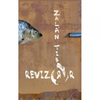A revizorr