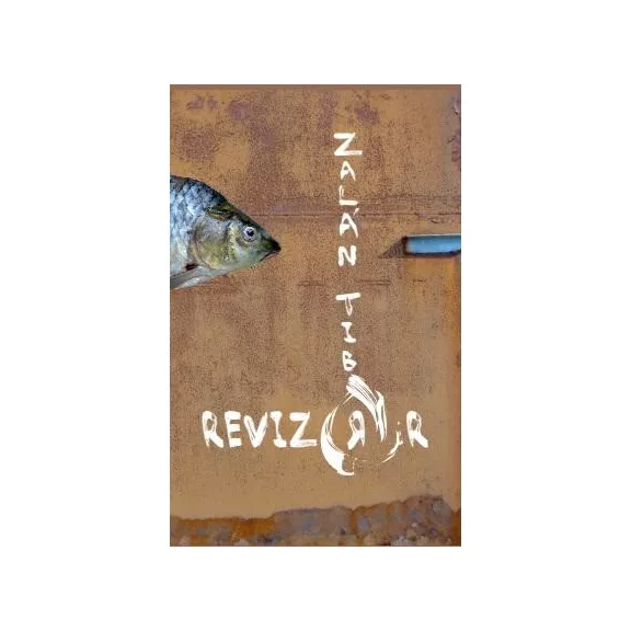 A revizorr A revizorr