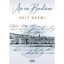 Az én budám