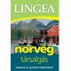 Lingea norvég társalgás - Szótárral és nyelvtani áttekintéssel