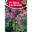 Virágos verandák