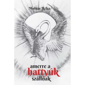 Amerre a hattyúk szállnak
