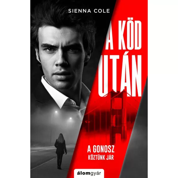 A köd után A köd után