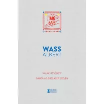 Valaki tévedett – ember az országút szélén