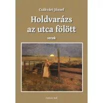 Holdvarázs at utca felett