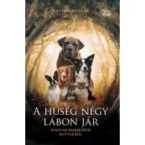 A hűség négy lábon jár