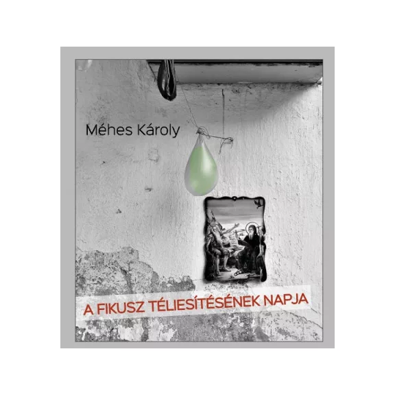 A fikusz téliesítésének napja A fikusz téliesítésének napja