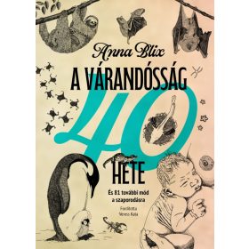 A várandósság 40 hete