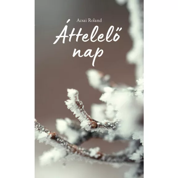 Áttelelő nap Áttelelő nap
