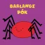 Barlangi pók