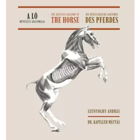 A ló művészeti anatómiája
