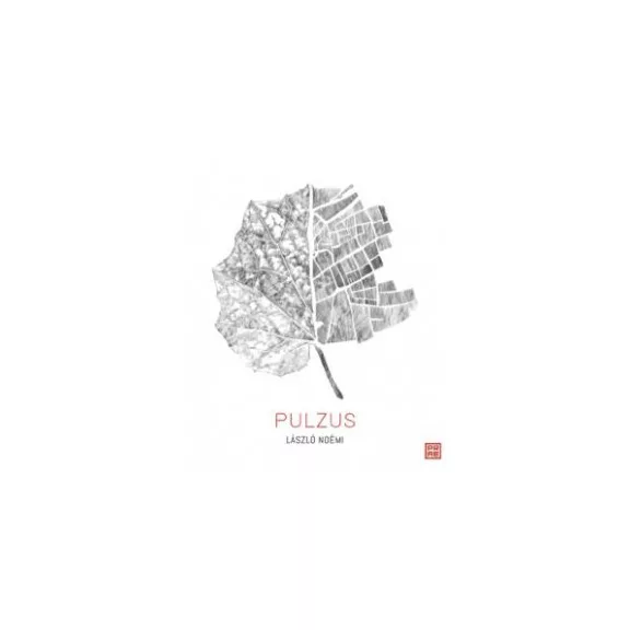 Pulzus Pulzus