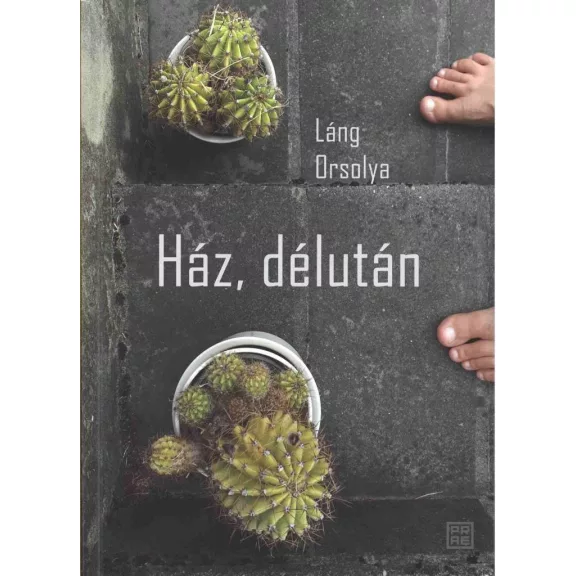 Ház, délután Ház, délután