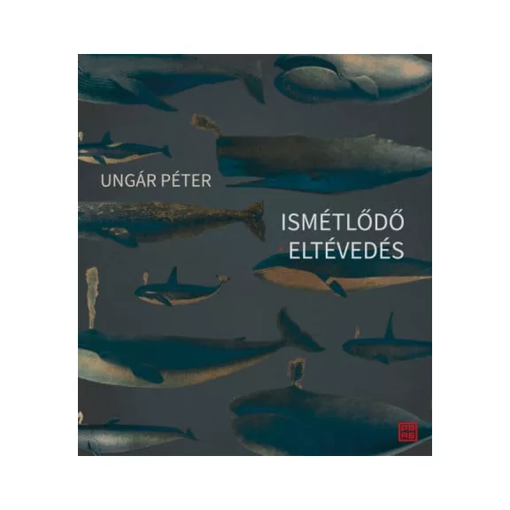 Ismétlődő eltévedés Ismétlődő eltévedés