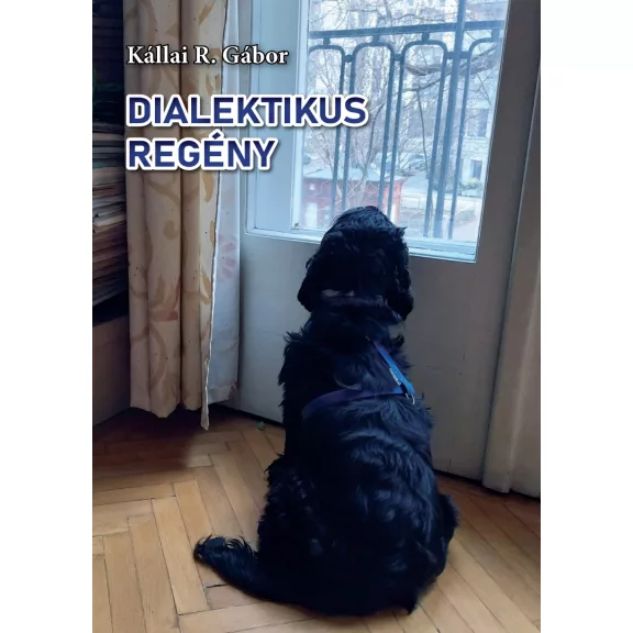 Dialektikus regény Dialektikus regény