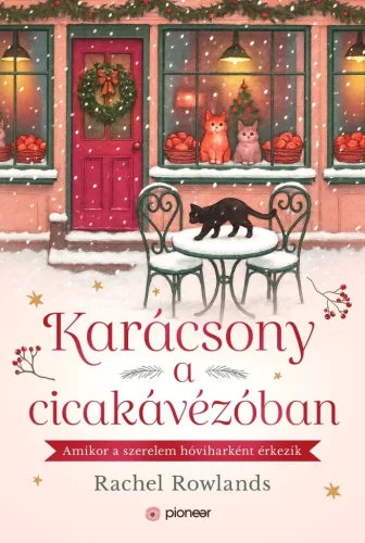 Karácsony a cicakávézóban
