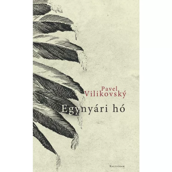 Egynyári hó Egynyári hó