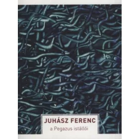 A Pegazus istállói