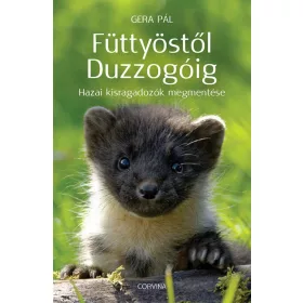 Füttyöstől Duzzogóig – Hazai kisragadozók megmentése