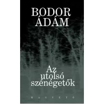 Az utolsó szénégetők