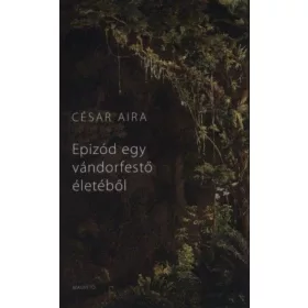 Epizód egy vándorfestő életéből