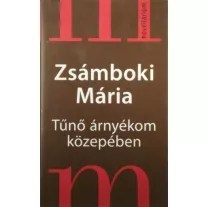 Tűnő árnyékom közepében