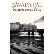 Természetes fény - Az archív képek regénye