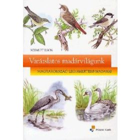 Varázslatos madárvilágunk