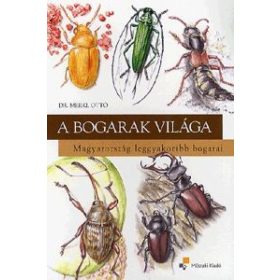 A bogarak világa Magyarország leggyakoribb bogarai