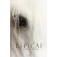 Lipicai - A legenda