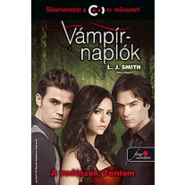 Vámpírnaplók 8. - A vadászok: Fantom - Kemény kötés