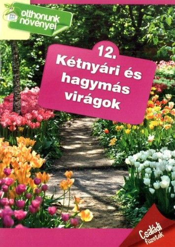 Otthonunk növényei 12. - Kétnyári és hagymás virágok