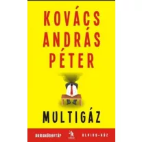 Multigáz