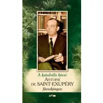 A katedrális kövei - Saint-Exupéry füveskönyve (2015)