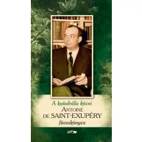 A katedrális kövei - Saint-Exupéry füveskönyve (2019)