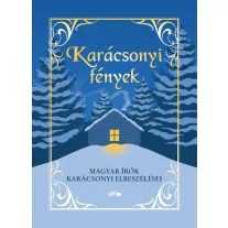 Karácsonyi fények