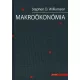 Makroökonómia