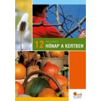 12 hónap a kertben