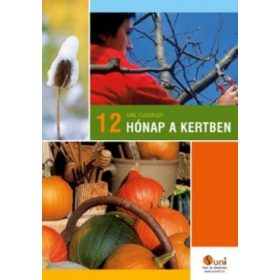 12 hónap a kertben