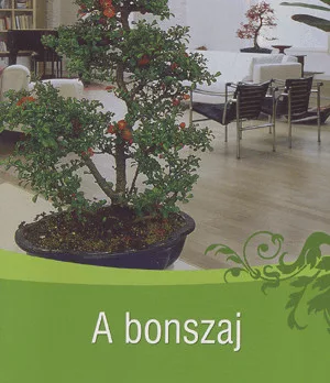 A bonszaj