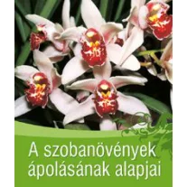 A szobanövények ápolásának alapjai