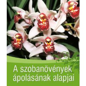 A szobanövények ápolásának alapjai