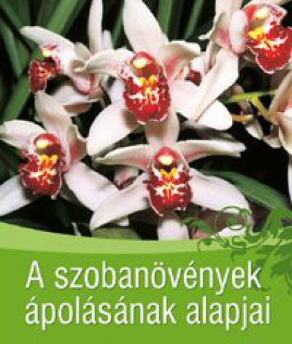 A szobanövények ápolásának alapjai