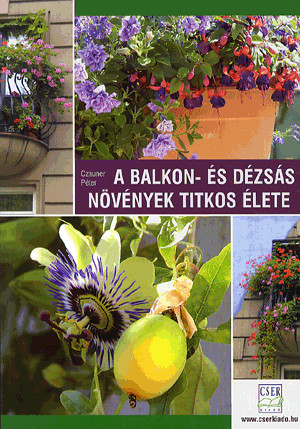 A balkon- és dézsás növények titkos élete