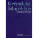 Középiskolai fizikapéldatár 15. kiadás
