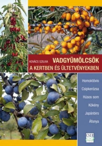 Vadgyümölcsök a kertben és ültetvényekben - Homoktövis - Csipkerózsa - Húsos som - Kökény - Japánbirs - Áfonya