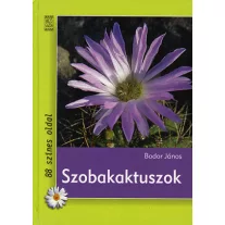 Szobakaktuszok