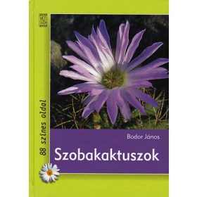 Szobakaktuszok