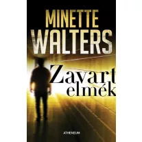 Zavart elmék